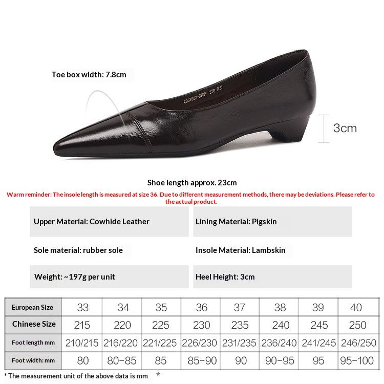 Cameido Women's Pointed Toe Chunky Heel Dress Shoes For Spring_vogvips.com