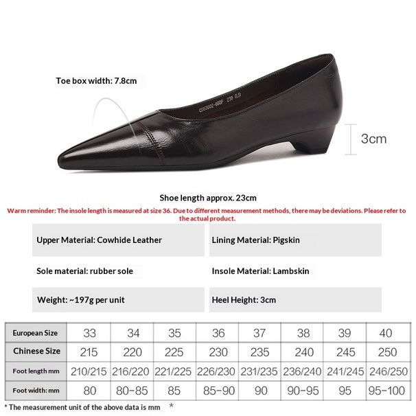 Cameido Women's Pointed Toe Chunky Heel Dress Shoes For Spring_vogvips.com