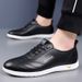 TerraStride 2025 Spring New Men's Casual Shoes Leather Soft Sole Slip-On Loafers White 1173_vogvips.com