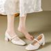 MTX 2025 Spring Summer New French Style Gentle Square Toe Mary Jane Shoes For Women With Chunky Heels And Skirts_vogvips.com