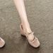 First Encounter Season Bow Nude Mary Jane 2026 New Style Elegant Chunky Sweet High Heel Women's Single Shoes_vogvips.com