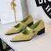 Women's Retro Mary Jane Pumps With Chunky Heel, Pointed Toe & Metal Buckle - Elegant Low-Cut Dress Shoes For Spring & Fall (Black/Light Green/Beige)_vogvips.com