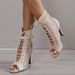 Sandals Hollowed Mesh Heels Belt Buckle Women S Summer Beige Lace Up Sexy Open Toe Boots Stiletto Jazz Dance Party_vogvips.com