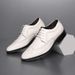 Euro Step Spring Leather Men Business Formal Brogue Floral Breathable British Casual Photo Groom Wedding Shoes_vogvips.com
