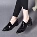 wangjia Wangjia Chunky Heel Pointed Toe Deep Mouth Single For Women New Patent Versatile Genuine Spring And Autumn_vogvips.com