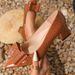 Women’s Pointed‑Toe Block Heel Pumps, Croc‑Embossed Bow Decor Slip‑On Dress Shoes, Mid Chunky Heel Patent‑Look Evening Footwear_vogvips.com
