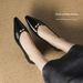Cameido Women's Spring Pointed Toe Chunky Heel Commuting Dress Shoes With Comfortable Lining_vogvips.com