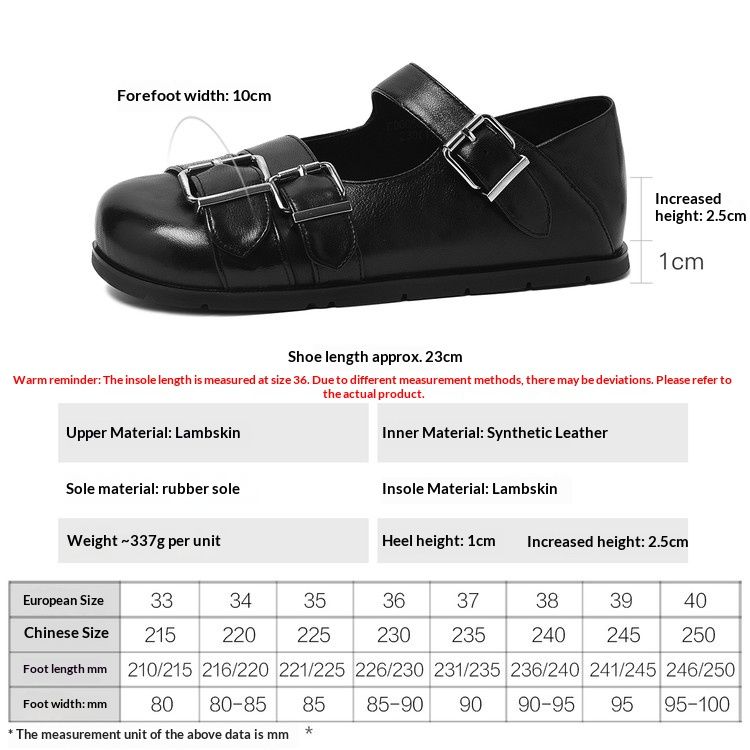 Cameido Soft Sole Soft Upper Lamb Leather Mary Jane Dress Shoes For Women With Sweet Buckle Spring_vogvips.com