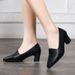Medium Heel Single Shoes Women's High Heel Small Leather Shoes Soft Leather Mother Shoes Work Shoes_vogvips.com