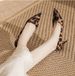 Pointy French Type New Leopard Print Thin Heel Shoes New Style Not Tired Feet Fashion Sexy Comfortable Pointy Shallow Heels_vogvips.com