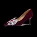 Cameido Women's High Heels - 7.5CM Pointed Toe Stiletto Pumps With TPU Sole & Velvet Fabric (Black/Burgundy)_vogvips.com
