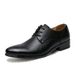 Regal Footwear Business Formal British Brogue Casual European Style 2025 Spring Autumn Pointed Toe Leather Shoes_vogvips.com