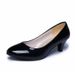 Plu-ize 2026 New Model Pointed Toe Hallow Mouth All-eaon Fahionable Chunky High-heeled Women' Plu-ize Work_vogvips.com