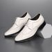 Euro Step 2025 Spring New Large Size British Office Brogue Carved Business Formal Men's Leather Shoes_vogvips.com