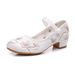 Women’s Shoes Summer New Style Retro Embroidered Women's Embroidered Single Shoes Matching Dance Women's Shoes_vogvips.com
