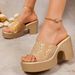 Plus Size High Heeled Sandals For Women Outdoor Summer Style Chunky Sequined Heel European American Style_vogvips.com