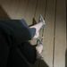 2025 Autumn New Silver High Heels Design Sense Niche Fairy Style Rhinestone Chain Backless Closed Toe Sandals For Women_vogvips.com