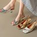 French Style Simple Open Back Peep Toe High Heels Elegant Slimming Mid Heel Stiletto Sandals For Women Summer 2024 New_vogvips.com