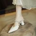 European And American Pointed Mules Women 2025 Summer New French Style Backless Rhinestone Chunky Heel Closed Toe_vogvips.com