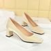 6293 Spring And Autumn New French Elegant Fashion Single Shoe Square Head Silk Coarse Shallow Plain Face Middle Heel_vogvips.com