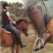 2023 Autumn Winter For Women, Knee-High Low Heel Equestrian Boots, Large Size Riding Boots_vogvips.com