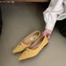 French Pointed Metal Buckle Shallow Mouth Single Shoe Women In Spring And Autumn 2025, New Low Heel Fashionable Flat_vogvips.com