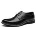 TerraStride Spring And Autumn Business Formal Leather Large Size Korean Style Pointed Toe Fashion Versatile Casual Men's Shoes_vogvips.com