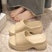 2026 Summer New Thick-Soled One-Strap For Women, Fashionable Outdoor EVA Platform Height-Increasing Beach Slippers_vogvips.com