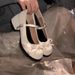 Fairy Style Chunky Heel Women's Single 2025 New Elegant Mary Jane Shoes With Bow For Spring And Summer Dresses_vogvips.com