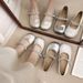 French Rhinestone Silver Mary Jane Single Shoes Women's Autumn Small Leather Shoes With Skirt Thick Heel Evening Shoes_vogvips.com