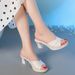 Chunky Heel High-Heeled 2026 New Model Women, Fashionable And Versatile For Outdoor Wear, Summer Soft-Soled Peep-Toe_vogvips.com