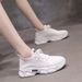 2024 Spring New Women's One-Piece Dropshipping Sports Mesh Breathable Height-Increasing Versatile Dad Shoes Student_vogvips.com