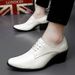 Plus Size 38-46 Chunky Heel Height Increasing 2025 Spring Autumn New Business Casual Leather Shoes_vogvips.com