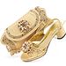 Women's shoe bag set open toe design exquisite big diamond buckle embellished fashion simple banquet style shoe bag_vogvips.com