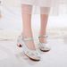 Women’s Shoes Summer New Style Retro Embroidered Women's Embroidered Single Shoes Matching Dance Women's Shoes_vogvips.com