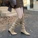 2025 Autumn Winter Retro Chunky Heel Fashion Women Slouch Hot Girl Style Trendy Height Increasing Long Over-the-Knee_vogvips.com