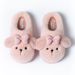 Diseng Cotton Shoes For 2024 New Furry Slippers Cute Cartoon Women Winter Home Plush Versatile Warm Couple_vogvips.com