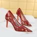 Banquet Women's Shoes Slim High Heels Shallow Mouth Pointed Toe Stiletto High Heels Mesh Hollow Lace Single Shoes_vogvips.com