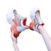 2024 New Summer Height Increasing White Sneakers For Women Spring Mesh Casual Sports Breathable Dad Shoes Internet_vogvips.com