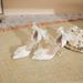 Summer High-heeled Sandals Women, Thin Heel, Versatile, Slimming, Sexy, Fairy Style, Suitable For Students, With A_vogvips.com