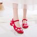 Women’s Shoes Summer New Style Retro Embroidered Women's Embroidered Single Shoes Matching Dance Women's Shoes_vogvips.com