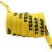 Double Polyester Flat Shoelaces YESAR Letter Print Casual All-match High-low Canvas Shoe Shoelaces_vogvips.com