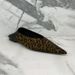 2025 Spring/Summer New Leopard Pattern With Pointed Flat Heels Cool Slippers, Small And Versatile Women's Single Shoes_vogvips.com