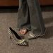 French High Heels Design Sense 2025 Spring And Autumn Season New Pointed Fashion Mid Heel Versatile Fine Follow-up Shoes_vogvips.com