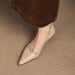 French-style Pointed-toe Mid-heel Work Commuting For All Seasons, 2026 New Super Popular Purple Side-cut Cat-heel Spring_vogvips.com