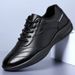 TerraStride 2025 Autumn Men's Leather New Sports Casual Cowhide Korean Style Soft Sole Wear-resistant Travel Agan Running Shoes_vogvips.com