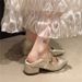 French Silver Evening Wind Pointed High Heels Women's Autumn With Skirt Thick Heel Mary Jane Single Shoes_vogvips.com