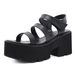 Women’s Shoes Summer New Thick Bottom Thick Heel Waterproof Platform Open Toe High Heel Women's Sandals Style Roman Sandals For Women_vogvips.com