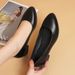 Summer New Women's Pointed Toe Chunky Heel Slip-On Shoes Breathable Soft Sole Low Mouth Casual Commuter Ladies Footwear_vogvips.com