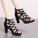 Foreign Trade Cross-border Rhinestone Breathable High-heeled Shoes With Zipper, Heel, European And American Roman Style,_vogvips.com